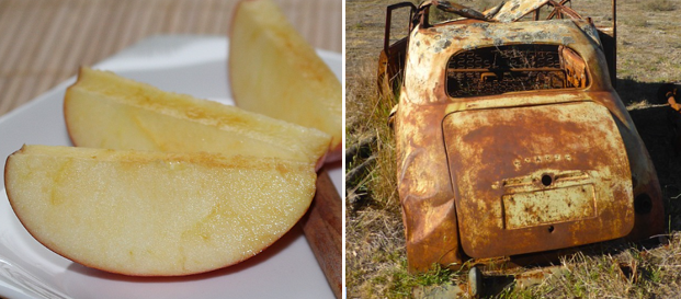 Browning apple sliced on left and rusting old car on right